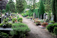 Begraafplaats H. Joanneskerk Oisterwijk