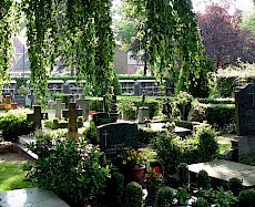 Begraafplaats Oisterwijk Petrus